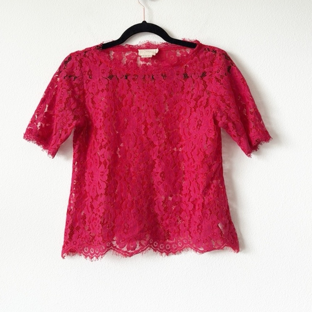Anthropologie Elegant Pink Lace Top
